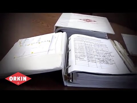 5 Steps to a Better Audit - Orkin for Your Business