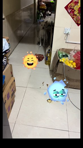 មេីលទឹកមុខខូខូ​ ខ្ពេីម💩🐕‍🦺#anime #foryou #vrial #tiktok #dogs #cambodia