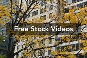 Free Windows 10 Wallpaper Slideshow Videos