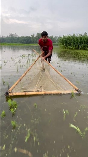 Real Small Fish Catching Technique#shorts