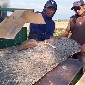 318K views · 3K reactions | Team work cutting tree and wood | Making Video | Facebook