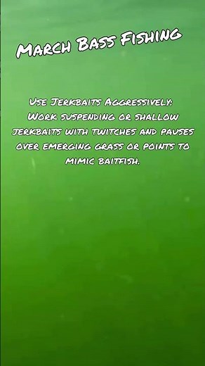 March Bass Fishing Tips #3