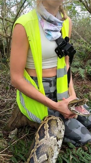 GIANT ANGRY PYTHON!