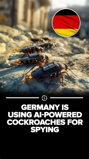 Investing Authority | Germany has introduced AI-powered cockroaches equipped with microchips, cameras, and sensors for surveillance purposes. These cyborg... | Instagram