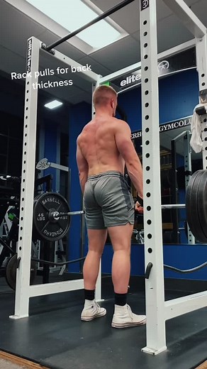 Back day #fyp #bodybuilding #muscle #gay #lgbt