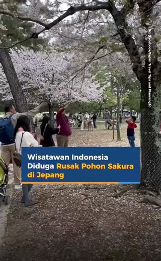 お前が好きな奈良公園って何なんだよお前は一体どの立場なんだ？奈良公園の管理権者？地球の母？地球の学級委員長？アルトゥルはインバウンドを否定する排外ポストを引用して便乗し、外国人をマナーが悪いと非難する排外主義者だが、こいつはJALや旅行会社が主催する東南アジア（韓国、台湾、フィリピン、タイ）への男性限定ツアーがその実買春ツアーで現地からセックスアニマルと呼ばれ、日本人がとても外国におけるマナーを語れる立場にないゴミだったということを理解していない。桜を蹂躙するよりも女の子を蹂躙する方が遥かに終わってるだろう。昔の話ではない。今もそうだ。アジア旅行に出かけるオッサンのほとんどは買春目当てであって僕みたいにセックスなしで観光するオッサンは少数だと断言できる。まず桜とアジアの女の子を蹂躙することのどちらが人としてゴミクズかを理解した方が良い。日本人は今夜もタイで、ジャカルタで、ラオスで、少女を買っている。今この瞬間も。恥を知れ。日本人は、欧米の高級ホテルの常識を理解せず、ロビーをパジャマで徘徊する日本人団体客がアメニティだけでなく、灰皿、タオル、バスローブ、ひどい場合はドライヤーや絵画まで記