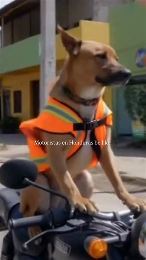 El Lengüetazo on Instagram: "Alejandra Rubio & HCH, Salma ya no quiere pelear y los Nicas molestos con El Lengüetazo 😭 Hoy en vivo a las 8PM!"