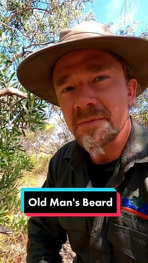 Exploring Aboriginal Bush Medicine Techniques