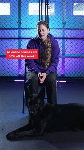 7.5K views · 139 reactions | All premium online courses are 50% off until May 20th, 2024! We have courses for puppies, obedience, and almost every behavioral problem! Use coupon code MOMSDAYPREMIUM to get 50% off of our premium online courses and use coupon code MOMSDAYSUBSCRIPTION to get 50% off your first month on our subscription videos! Visit methodk9institute.com to review our catalog of videos and courses! | Method K9 | Facebook