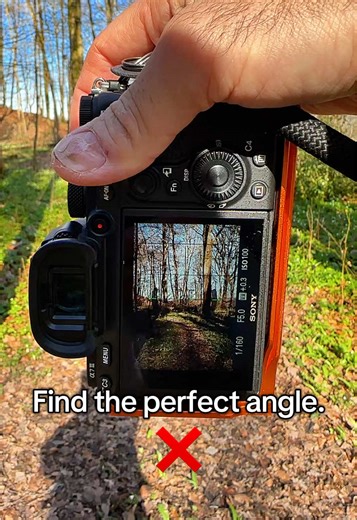 Mastering Photography: Finding the Perfect Angle