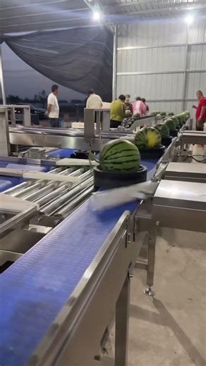 Manual Noodle Making Process #shorts #food #cooking