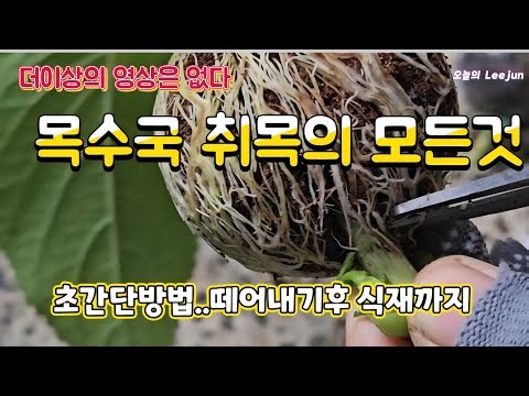 Everything you need to know about woodworking... Super easy method. From cutting to planting.