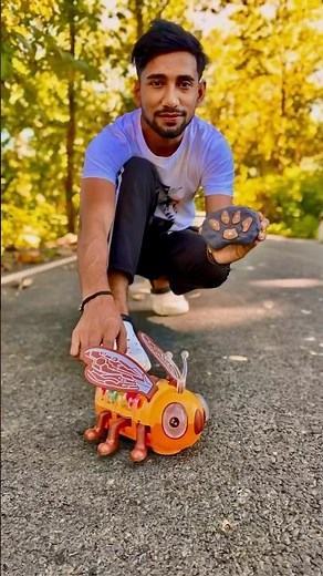 Remote control Bee 🐝 Unboxing and Testing