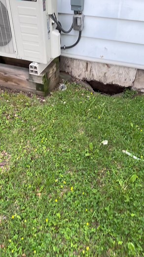 2.4M views · 2.8K reactions | Bandaid fix to stop the stray cats from getting in the basement #landlord #cats #realestate | Longrealestateinvestor | Facebook