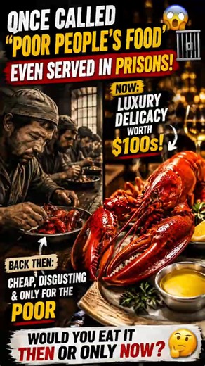Lobster Was Once Prison Food… Now It Costs Hundreds 😳🦞 #lobster #foodfacts #streetfood #seafood