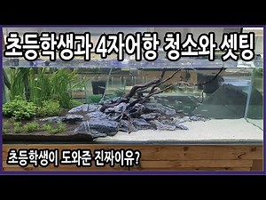 초등학생과 4자어항 청소와 셋팅 청룡석셋팅(해변느낌) -열대어박사-