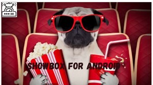 ShowBox For Android Have you thought of watching movies for free