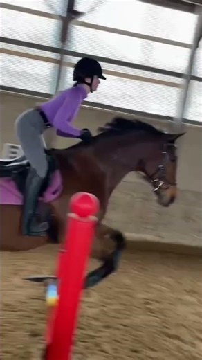 Edit of my jump lesson - low key ate up the editing #horsebackriding
