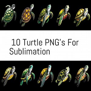 Turtle Png Sublimation Design, Turtle Png, Sea Animal Png, Turtle Clipart Png, Turtle Background Png Digital Downloads 10 Instant Downloads - Etsy Australia