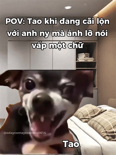 Meme Đánh Nhau Cực Hài Hước Giữa Các Cặp Đôi