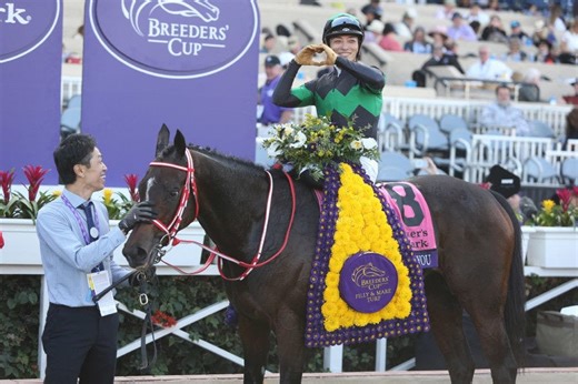 How to pick the winner of a horse race: Step-by-step guide | TwinSpires