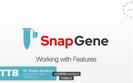 Snapgene基本法：自动注释自定义常见特征