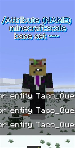 How to Change Size in Minecraft!!! #tutorials #minecraft #viralshorts #subscribe