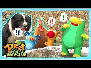 Detective Kids, Dogs, and Chickens on the Case | Animal Stories For Kids | Peet The Forest Detective