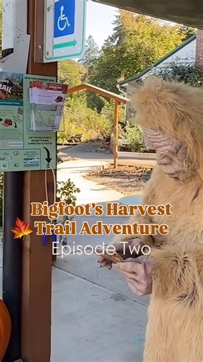 Pumpkins and camels and goats, oh my! Bigfoot is filling up his Harvest Trail passport! From picking the perfect pumpkin at Fiala Farms to cozying up with a baby goat at Frog Pond Farm, he’s closer to earning the coveted custom fall trucker hat. 🎃 🐐 Tune in tomorrow for Episode Three! 🌽 Harvest Trail officially opens October 1. 👀 Have you spied the hidden clue yet? https://www.mthoodterritory.com/harvest | Oregon's Mt Hood Territory