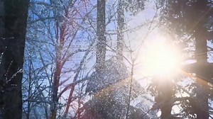 Enjoy the beauty of the Smoky Mountains, experience the wonders of Winterfest, and share memories with your loved ones that will last a lifetime. | Visit Sevierville