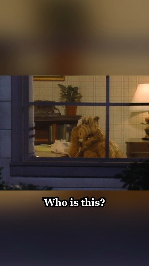 What is ALF doing at the neighbor’s!? #ALF #comedreels #sitcome #tvshow | Alf
