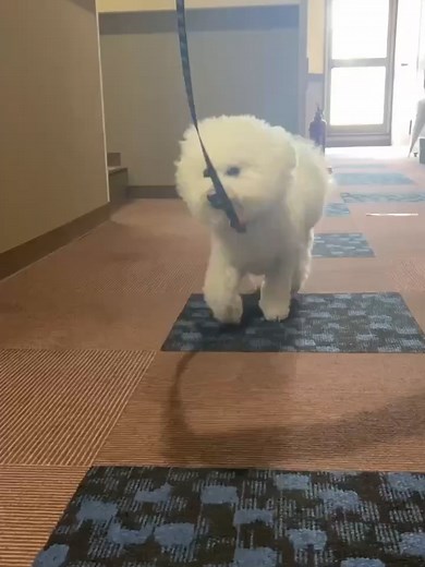 Step-by-Step Guide to nutritional science Explained #Nutrition