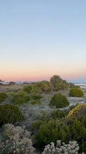 21K views · 303 reactions | Sunset views over St. Andrews State Park ✨ | Visit Panama City Beach | Facebook