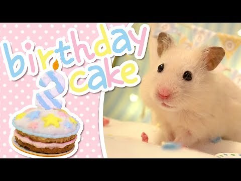 🎂 Birthday Cake | HAMSTER KITCHEN 🎂