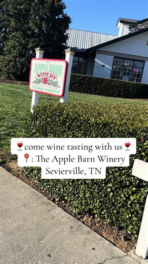 Wine tasting 🍷🤩🍎 We did a wine tasting at The Apple Barn Winery and it was so fun and the wine was delicious! I highly recommend the Raspberry 😍 #winetasting #momtok #comewithus #greatsmokymountains