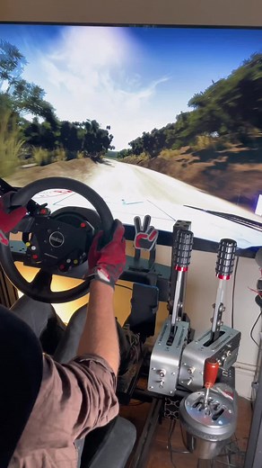 Ultimate Sim Racing Setup for WRC 9 Rally Gameplay