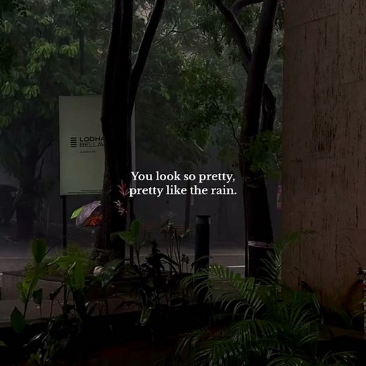 The Beauty of Rain: A Captivating Nature Experience