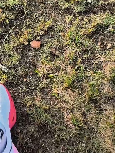 Xiaomi Redmi Note 14 Pro 5G Camera Review