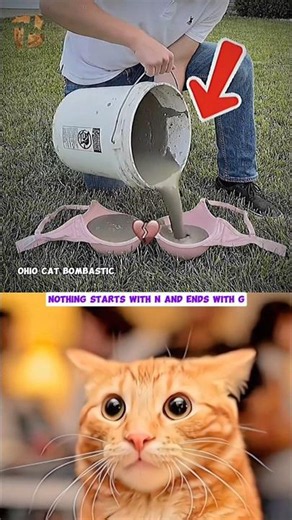 BOMBASTIC HACK 😻 #relatable #cat #jumpstyle