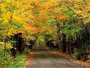 Laurie Lewis - Who Will Watch the Home Place?