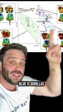 The Weird Human Cousins | Paranthropus & Trees #evolution #animals #learning #biology #history