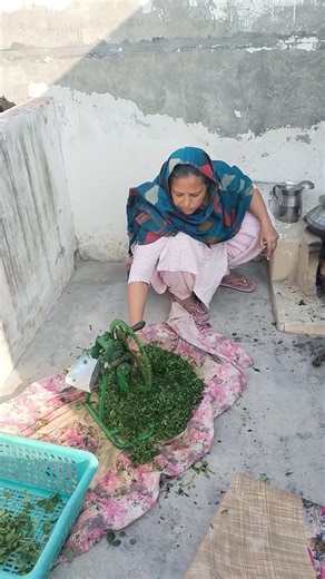 homemade saag making #punjabisong