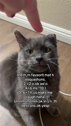 Ok #kitty | kitty videos