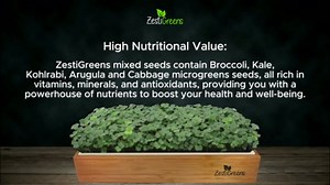 Superfood Microgreen Seeds Mix x 1lb. Non GMO Organic Broccoli, Kale, Kohlrabi, Arugula & Cabbage Seeds in Food Grade tin for Easier scooping & Keeping Fresher.