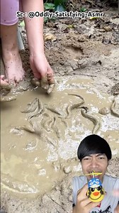 Looking for a snake toy⁉️in the mud🐍 Oddly-Satisfying-Asmr