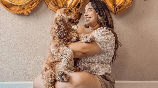 Cocker Spaniel Turns Into A Style Icon With His Show-Stopping Hairdos
