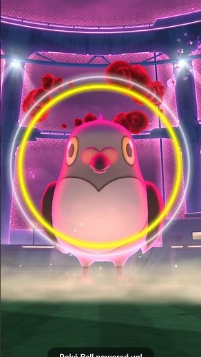 Dynamax Battle with a Pidove in #pokemongo #mobilegame