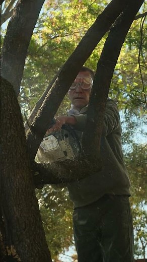 The RYOBI CS-4518 Petrol Chainsaw
