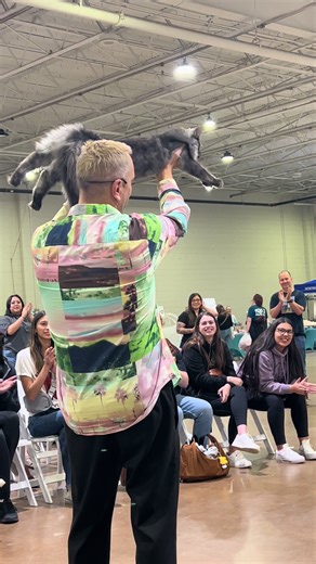 Maine Coon Triumphs at LCWW Cat Show