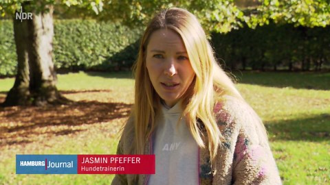 GPS-Tracker für Hunde werden immer beliebter